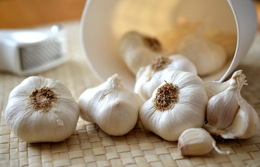 ニンニク, garlic